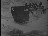 Thumbnail 29