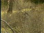 Thumbnail 20