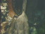 Thumbnail 16