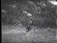 Thumbnail 22