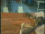 Thumbnail 17