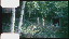 Thumbnail 36