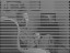 Thumbnail 30