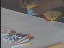 Thumbnail 13