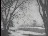 Thumbnail 48