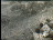 Thumbnail 22