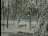 Thumbnail 21