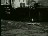 Thumbnail 23