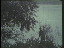 Thumbnail 25