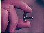 Thumbnail 24