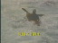 Thumbnail 17