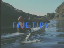 Thumbnail 24