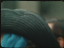 Thumbnail 22