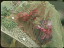 Thumbnail 23