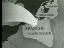 Thumbnail 23