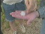Thumbnail 23