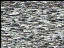 Thumbnail 33
