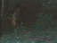 Thumbnail 26