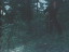 Thumbnail 27