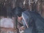 Thumbnail 36