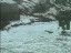 Thumbnail 38