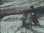 Thumbnail 44