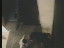 Thumbnail 46