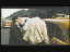 Thumbnail 16