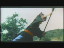 Thumbnail 48