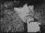 Thumbnail 24