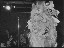 Thumbnail 26