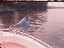 Thumbnail 16