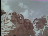 Thumbnail 23