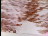 Thumbnail 28