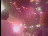Thumbnail 24