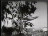 Thumbnail 28