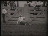 Thumbnail 23