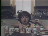 Thumbnail 32