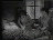 Thumbnail 33