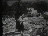 Thumbnail 46