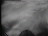 Thumbnail 23