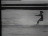Thumbnail 26