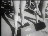 Thumbnail 45