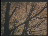 Thumbnail 26