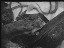 Thumbnail 17