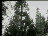 Thumbnail 20