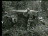 Thumbnail 22