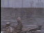 Thumbnail 16