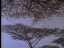 Thumbnail 39