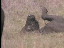 Thumbnail 48